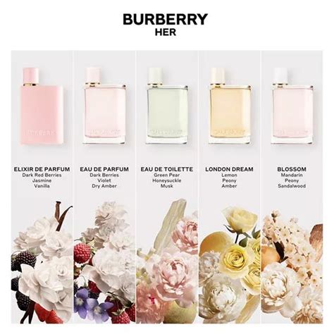 burberry classic notes|burberry her smell like.